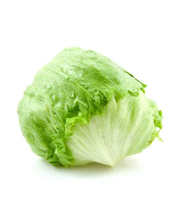 Lechuga Americana