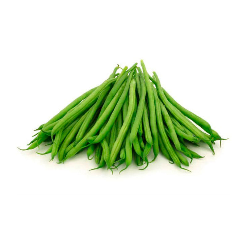 Vainita