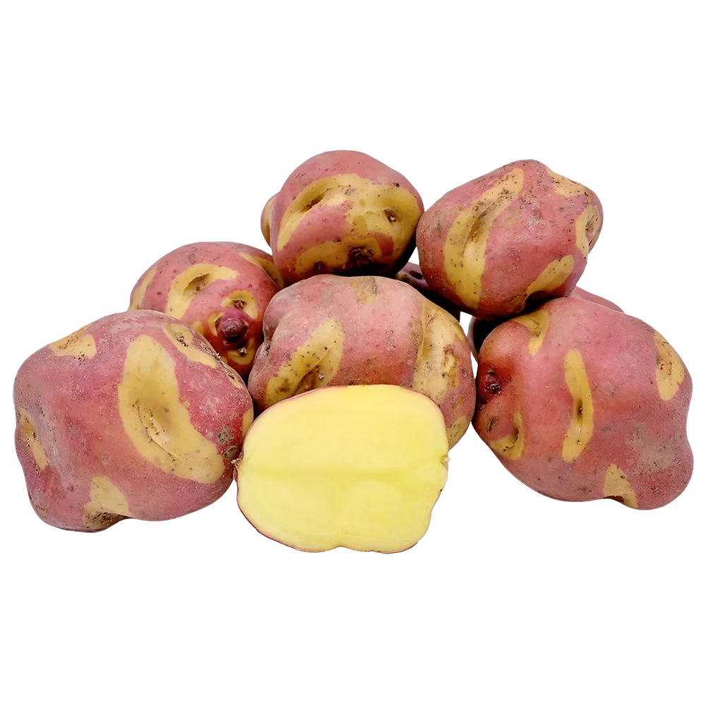 papa Peruanita