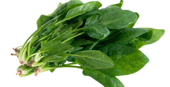Espinaca