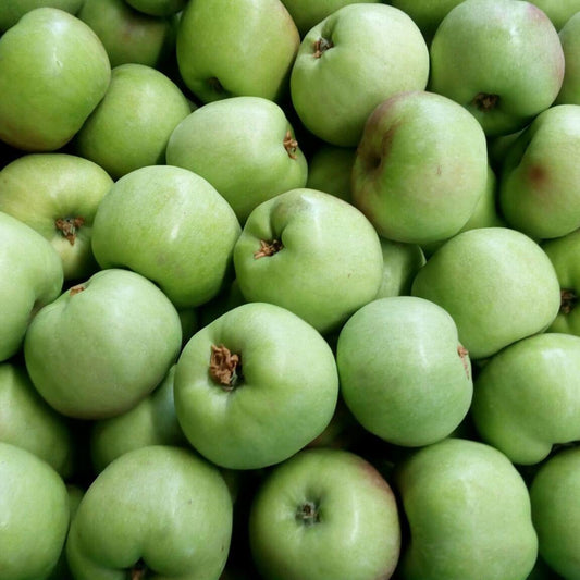 Manzana de agua bebé