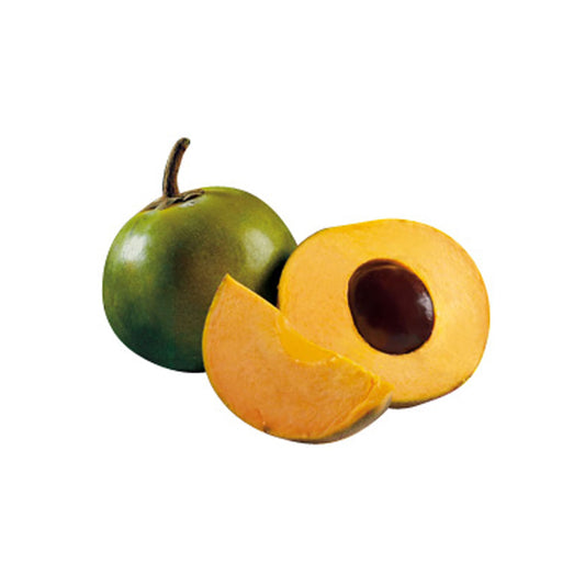 Lúcuma de seda pro