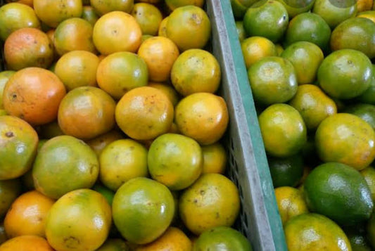 Naranja morochita de la selva peruana