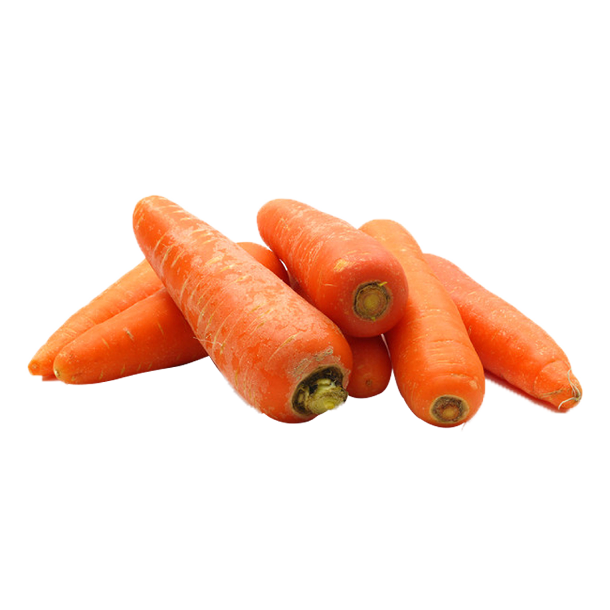 Zanahoria