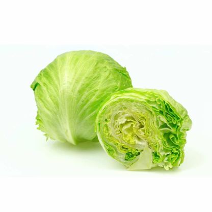 Lechuga americana