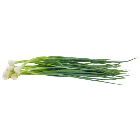 Cebolla china