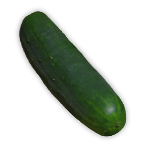 Pepinillo