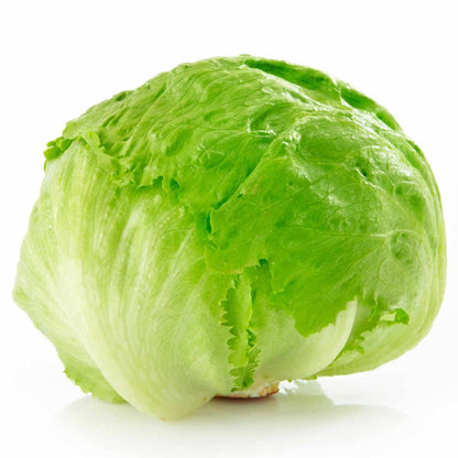 Lechuga americana