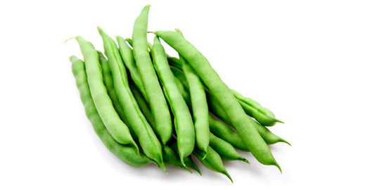 vainita